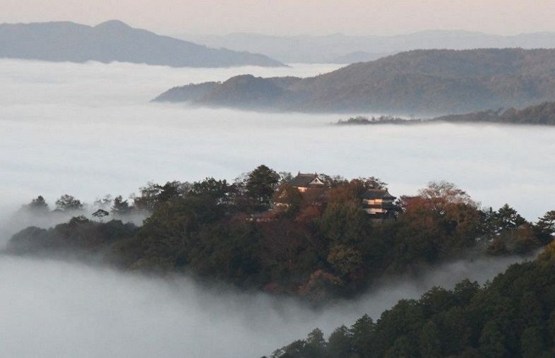 雲海に浮かぶ備中松山城＝１日午前６時３６分