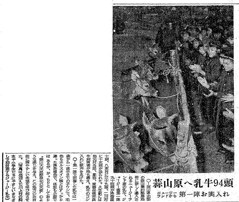 売れ筋・人気アイテム 商品 16）26～30年（1951～55年） ＜スポーツ・文化 人文+社会