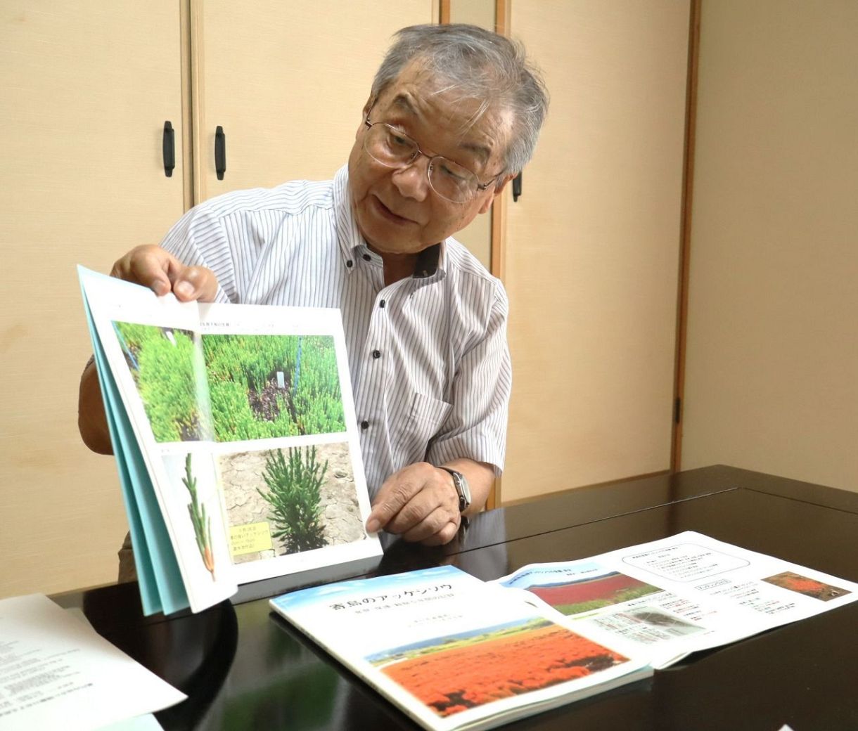 パルナシウス・アッコ（オス、中国・青海省産） 西部域で新発見の可能性高い 浅口・寄島のアッケシソウ、星野名誉教授