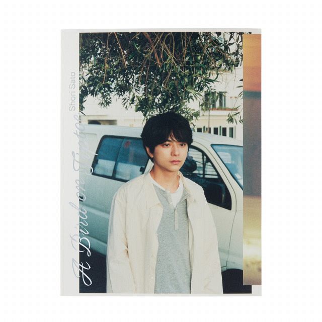 timelesz・佐藤勝利、「写真集」1位【オリコンランキング】：山陽新聞