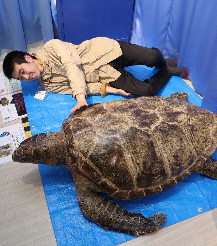 カメの生態 見て触れて学ぼう サイピアで「亀崎・亀展」：山陽新聞