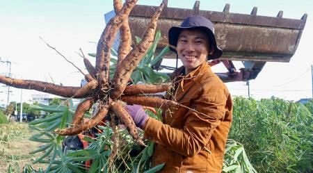 30代男性、営業職からキャッサバ農家に 外国人住民のなじみ深い食材