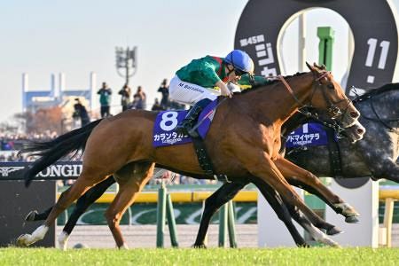 4番人気のカランダガンが優勝 競馬のジャパンカップ：山陽新聞