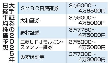 2025年 暦年展望資料 大和証券 株 ビジネス・経済