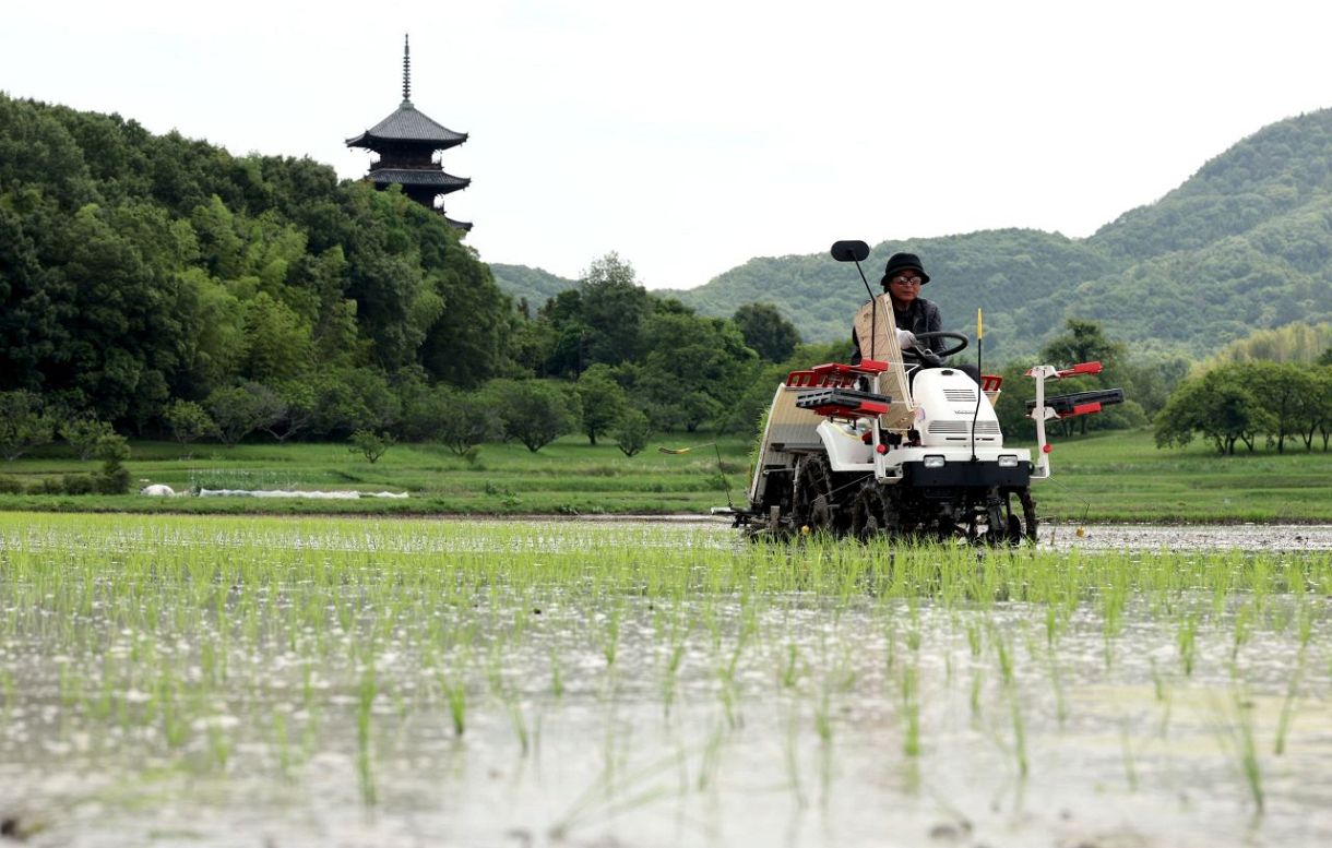 芒種 水田に青々と 総社で田植え進む：山陽新聞デジタル｜さんデジ