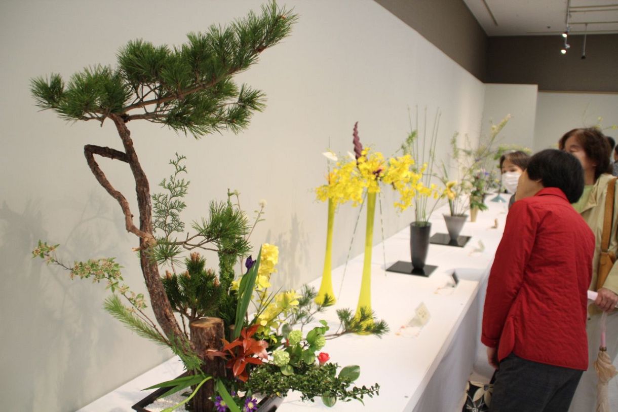 色とりどり 花の美際立つ 池坊岡山県連合支部華道展開幕：山陽新聞