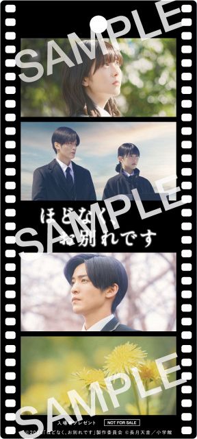 【当選品】ほどなく、お別れです ハンドタオル 目黒蓮 【非売品】 浜辺美波×目黒蓮W主演『ほどなく、お別れです』“オリジナルフィルム風