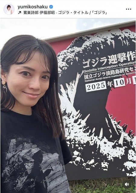 釈由美子さん　週刊少年サンデー　切り抜き　折り込みポスター　５枚 釈由美子さん 週刊少年サンデー切り抜き 折り込みポスター 5枚 【公式