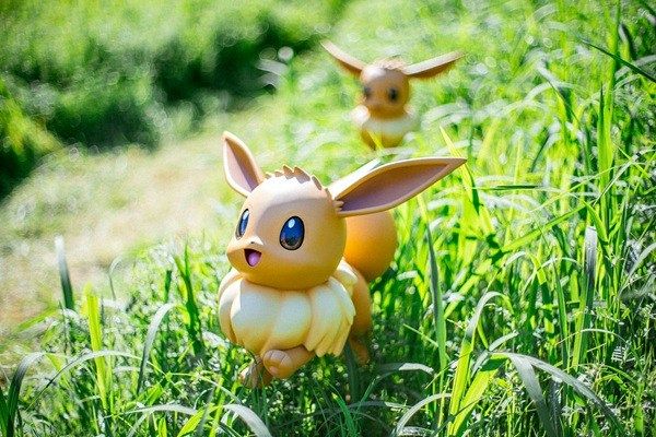 ポケパーク カントー』入場制限に理解求める！理由説明 一部エリア