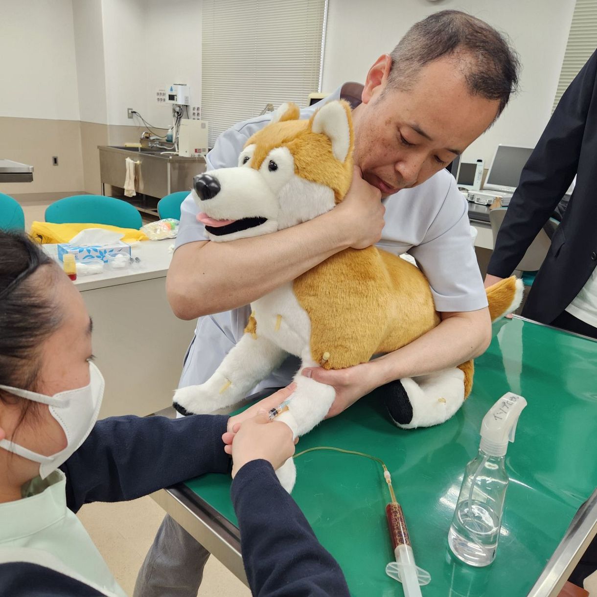 アニフル　保定のできる犬型医療シミュレーター「しばわん」 保定のできる犬型医療シミュレーター しばわん ＜2025年5月新