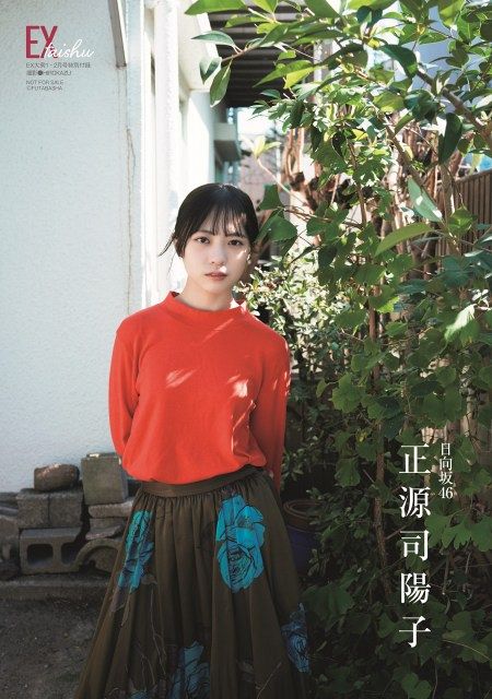 正源司陽子 ひなこれ 色紙 スマホサイズカード 2種セット Amazon.co.jp: 正源司陽子 4種コンプ カラフル衣装 ケヤフェス ひなた