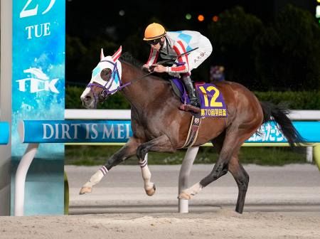 ナチュラルライズが優勝 地方競馬3冠競走の羽田盃：山陽新聞デジタル