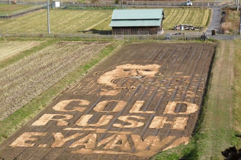 永ちゃん田んぼ 冬バージョンに 美作、もみ殻で矢沢さんと星表現：山陽