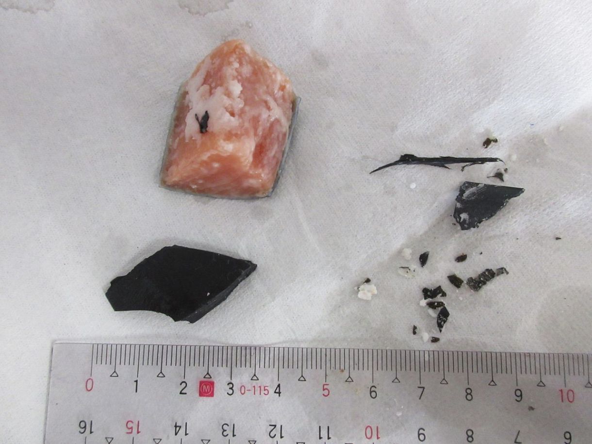 給食具材にプラスチック片、瀬戸内市7校で提供中止 健康被害なし - 健康 news from 山陽新聞デジタル