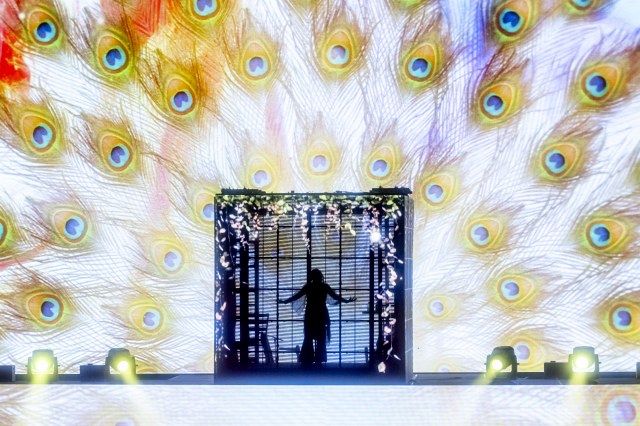 T*X様 ヨーロッパ会場限定 Ado WORLD TOUR Hibana tra Ado - WORLD TOUR 2025 “Hibana”