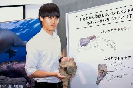 絶滅海生哺乳類化石を日本初確認 岡山理科大など研究チーム：山陽新聞