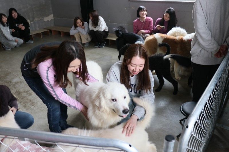 大型犬と触れ合って 岡山に専門店　１０種類１３匹、撮影や餌やりも