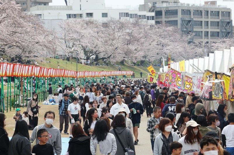 さくらカーニバル３月２８日開幕　実行委発表 岡山の旭川河川敷一帯