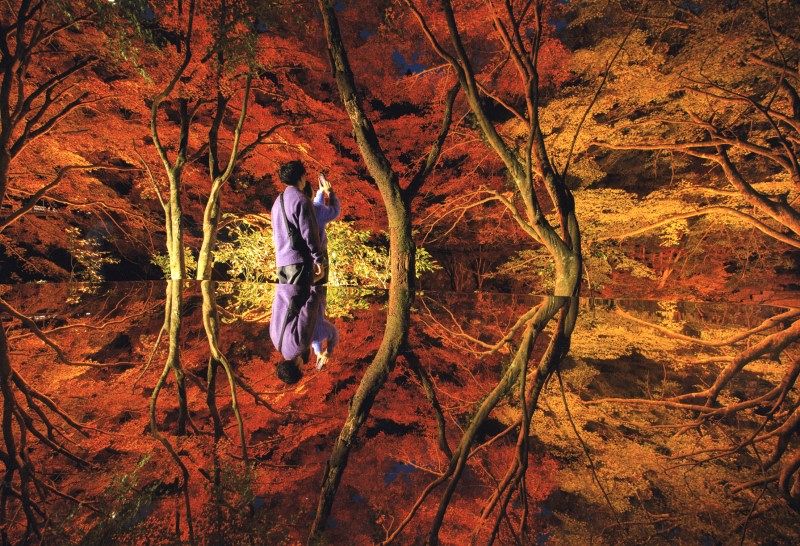 読者の写真コン 最優秀に戸田さん 森の芸術祭 鏡張り作品と紅葉撮影