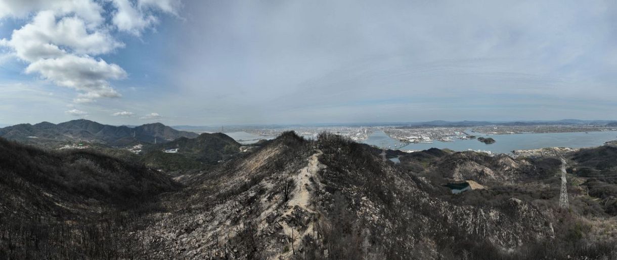 【 岡山山林火災１年】真っ黒な斜面 巨岩露出　住民「土砂崩れや落石心配」