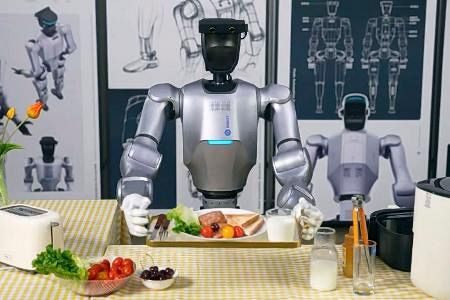 アトム　AI ロボット 中国がAIロボ「アトム」を開発 ヒト型、400万円で販売：山陽新聞