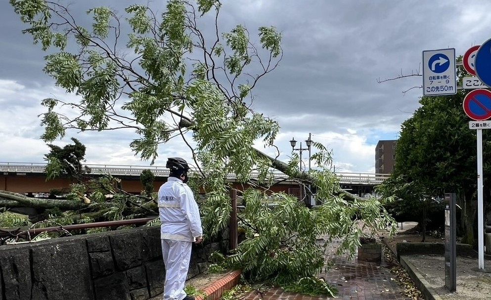 岡山県内に強風　倒木発生、交通機関乱れる