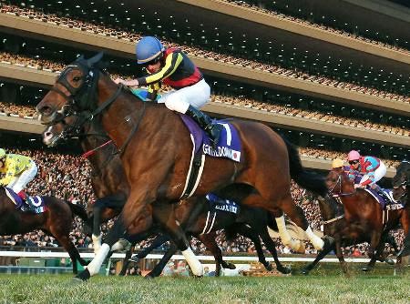 ジェンティルドンナが死ぬ 12年牝馬3冠、G1レース7勝：山陽新聞