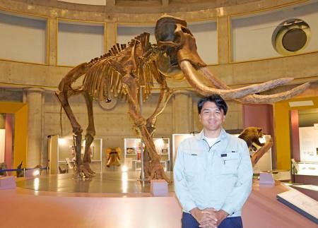 54年ぶり発掘、「洪水の跡」がヒントに ナウマンゾウ化石、合併で