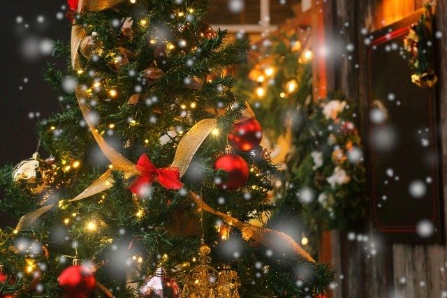 クリスマスの準備OK？」「飾るだけで華やか…」ツリーにリースほか