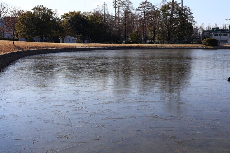 県内全観測点で６日連続氷点下　最低気温、美作などで今季最低