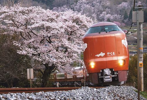 672回 工夫凝らした多彩な「桜」：山陽新聞デジタル｜さんデジ