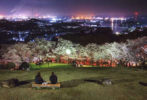 672回 工夫凝らした多彩な「桜」：山陽新聞デジタル｜さんデジ
