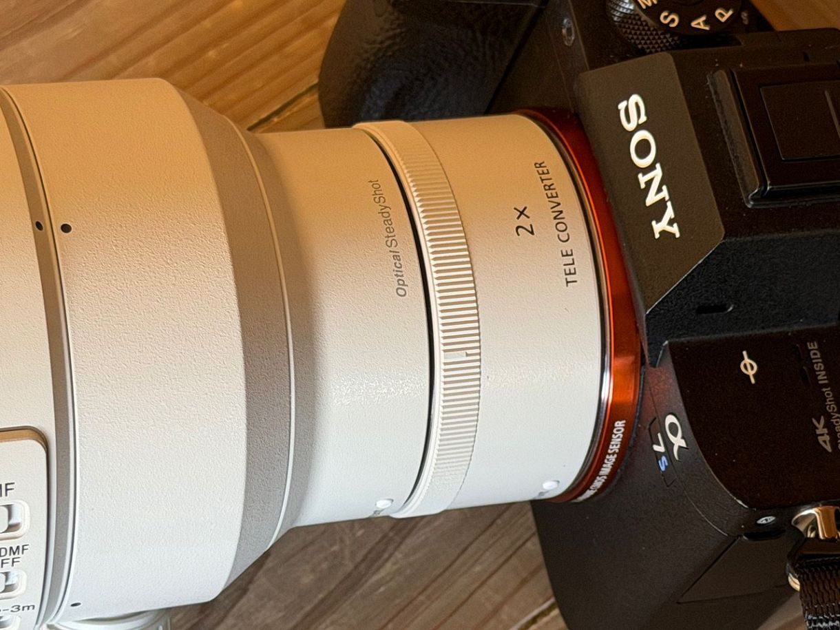 桜撮影にも　軽量超望遠レンズ2本セット 荏原神社でNikon Z9と800mmを使ってみた｜超望遠で切り取る桜とメジロ