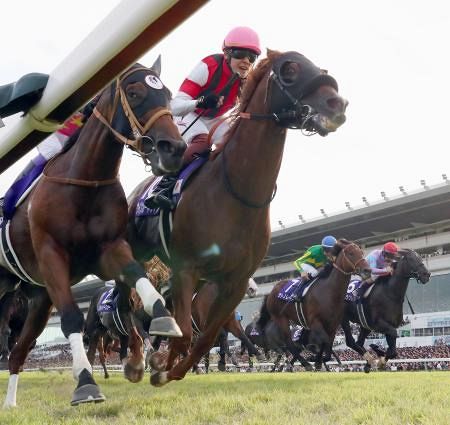 jra競馬スプリンターズS トロットスター優勝パネル jra競馬スプリンターズS トロットスター優勝パネル