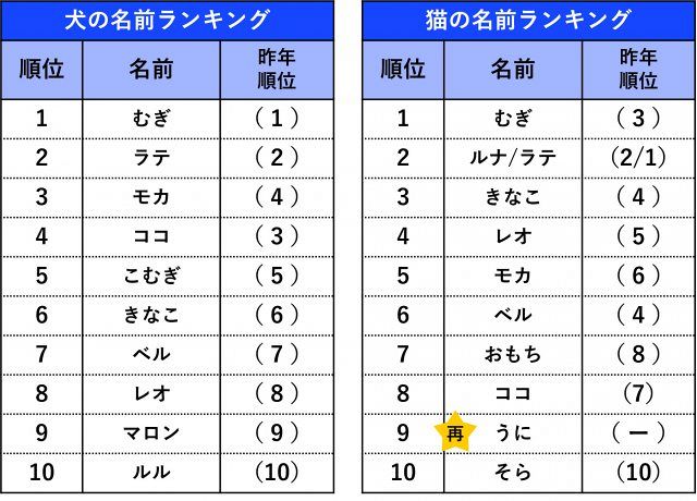 ペットの名前ランキング発表 犬・猫ともに1位は同じ名前に 犬は6年連続、猫は昨年3位が返り咲き：山陽新聞デジタル｜さんデジ