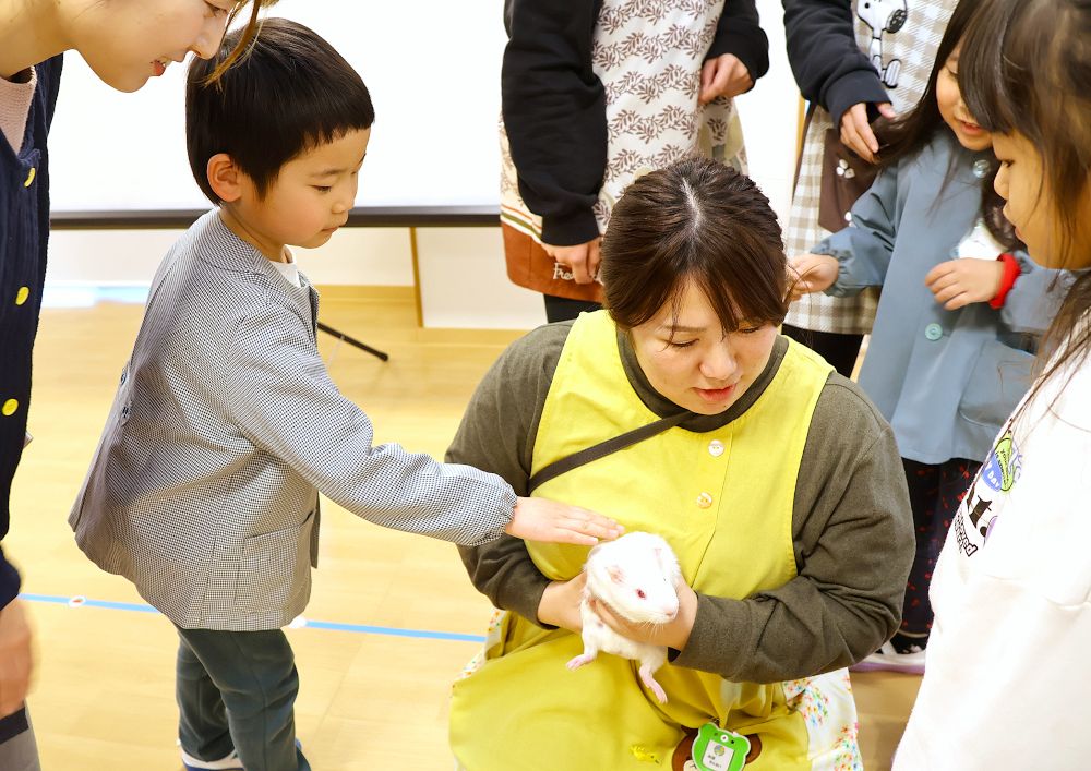 モルモット 飼育通じ命の大切さを　県獣医師会 学校園提供事業広がる