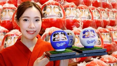 高崎の老舗、大谷選手イメージのだるま制作 青、白、グレーの特別