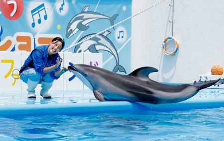イルカショーで元気届ける 能登出身の若手トレーナー：山陽新聞