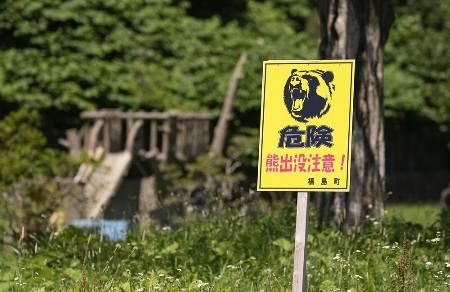 北海道福島町でまたヒグマ 国道沿いの草やぶで1頭目撃：山陽