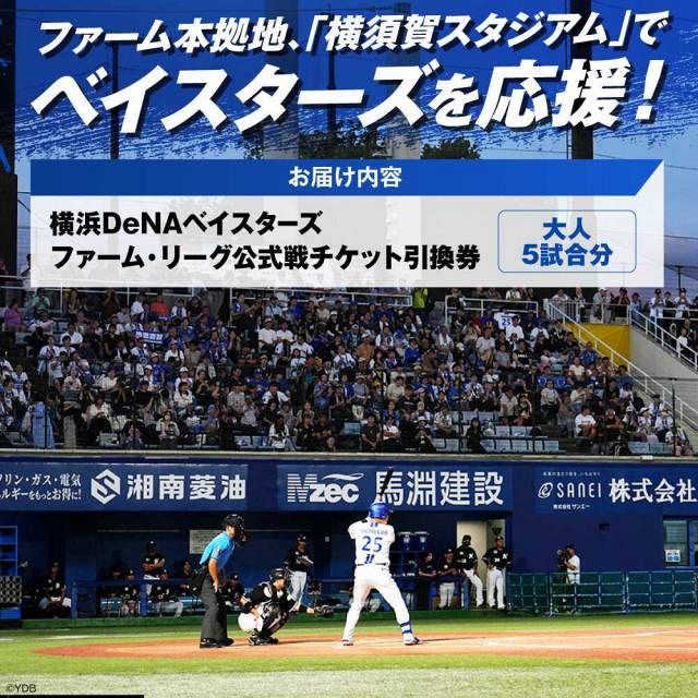 横浜DeNAベイスターズが横須賀市ふるさと納税返礼品の提供を開始 “第1