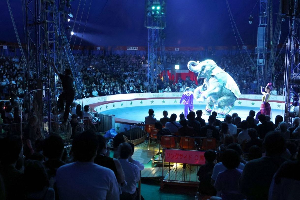 スリルと迫力たっぷりのショー満喫 計２回の公演満席　木下大サーカス岡山公演開幕