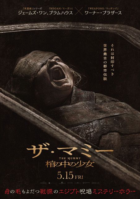 世界最古の都市伝説「ミイラの呪い」が現代に…ミステリーホラー『ザ