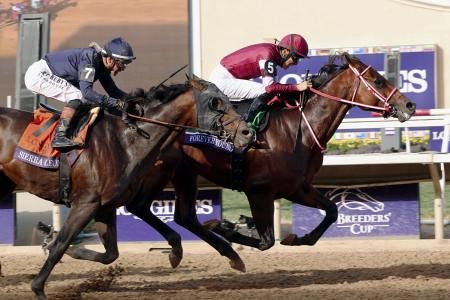 フォーエバーヤングが代表馬受賞 25年度JRA賞：山陽新聞デジタル