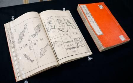 1億円鑑定の中国・古文書展示 京都府立植物園「本草綱目」：山陽新聞