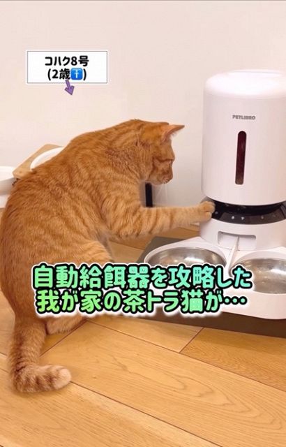 画像が削除されました