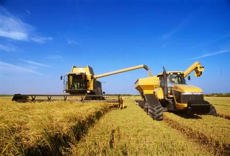 独自】米産コメ輸入増へ6万トン枠 政府、既存制度で譲歩検討
