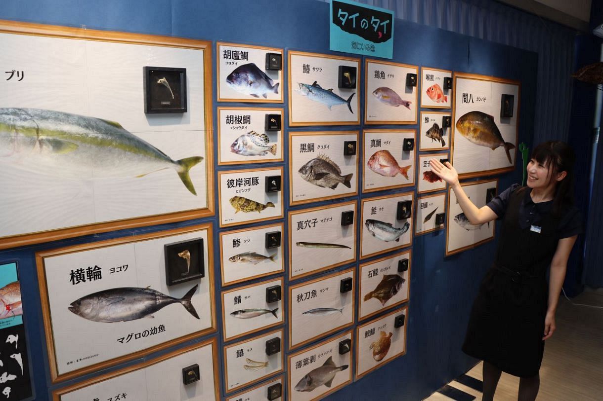 動物「骨」約80種類が一堂に 岡山・サイピアで企画展：山陽新聞