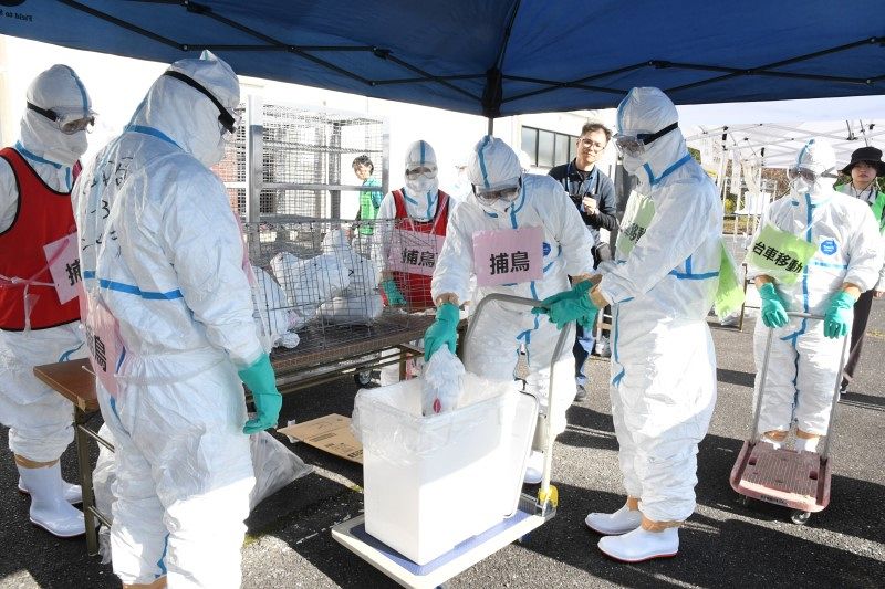 鳥インフル発生想定、美咲で防疫演習　岡山県職員ら初動対応確認