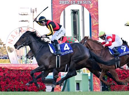 競馬 JRA ミュージアムマイル 有馬記念御駿印 ＆ レープロセット ミュージアムマイルが優勝 競馬の有馬記念：山陽新聞デジタル｜さんデジ