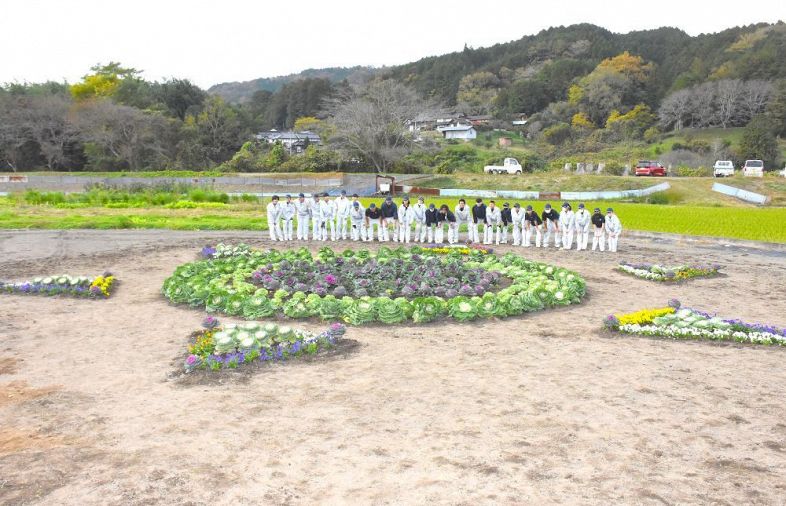 真庭高生 国道313号沿いに花壇 葉ボタン、ビオラで太陽表現：山陽